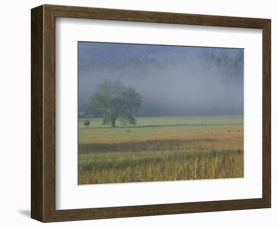 Morning Mist in Cades Cove, Great Smoky Mountains National Park, Tennessee, USA-Adam Jones-Framed Photographic Print