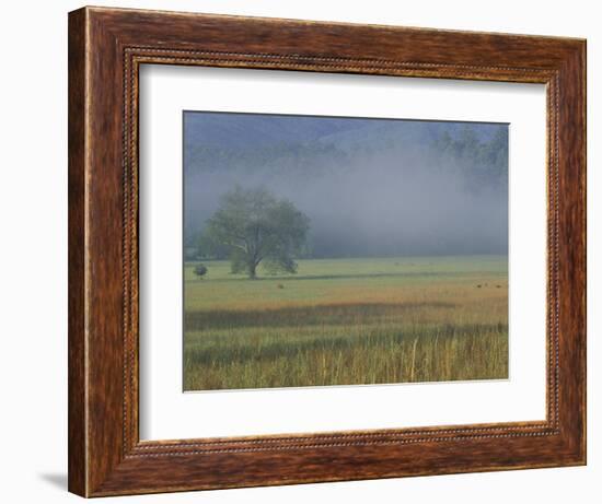 Morning Mist in Cades Cove, Great Smoky Mountains National Park, Tennessee, USA-Adam Jones-Framed Photographic Print