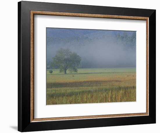 Morning Mist in Cades Cove, Great Smoky Mountains National Park, Tennessee, USA-Adam Jones-Framed Photographic Print