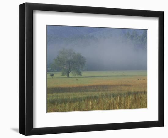 Morning Mist in Cades Cove, Great Smoky Mountains National Park, Tennessee, USA-Adam Jones-Framed Photographic Print