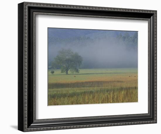 Morning Mist in Cades Cove, Great Smoky Mountains National Park, Tennessee, USA-Adam Jones-Framed Photographic Print