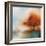 Morning Mist & Maple I-J^P^ Prior-Framed Giclee Print