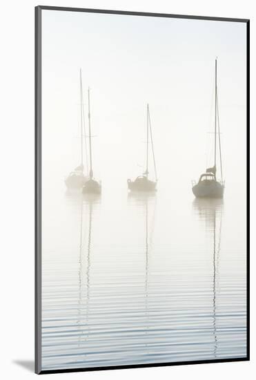 Morning mist on Windermere, Cumbria, UK-Nadia Isakova-Mounted Photographic Print