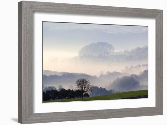 Morning Mist Over Farmland-Duncan Shaw-Framed Photographic Print