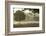 Morning Mist, Sheep Feeding, Eden Valley, Cumbria, England, United Kingdom, Europe-James Emmerson-Framed Photographic Print