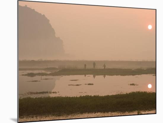Morning Mist, Sunrise, Limestone Mountain Scenery, Tam Coc, Ninh Binh, North Vietnam-Christian Kober-Mounted Photographic Print