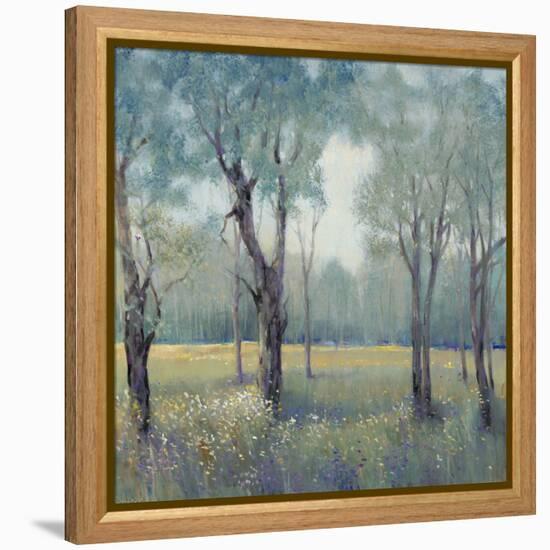 Morning Mist-Tim OToole-Framed Stretched Canvas