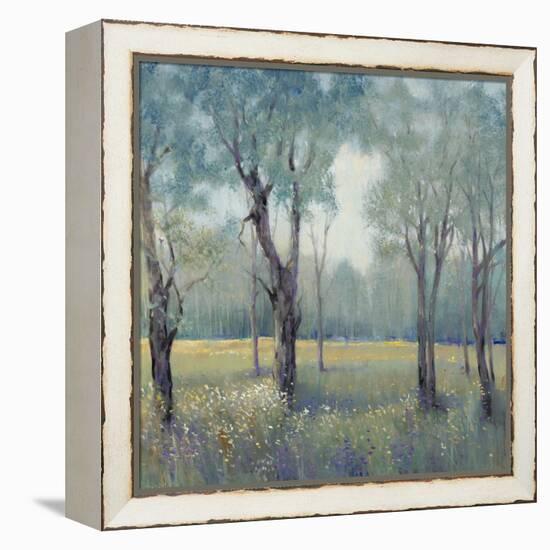 Morning Mist-Tim OToole-Framed Stretched Canvas