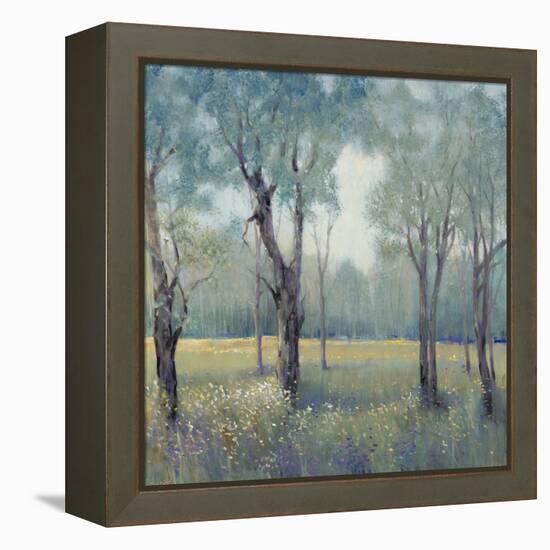 Morning Mist-Tim OToole-Framed Stretched Canvas
