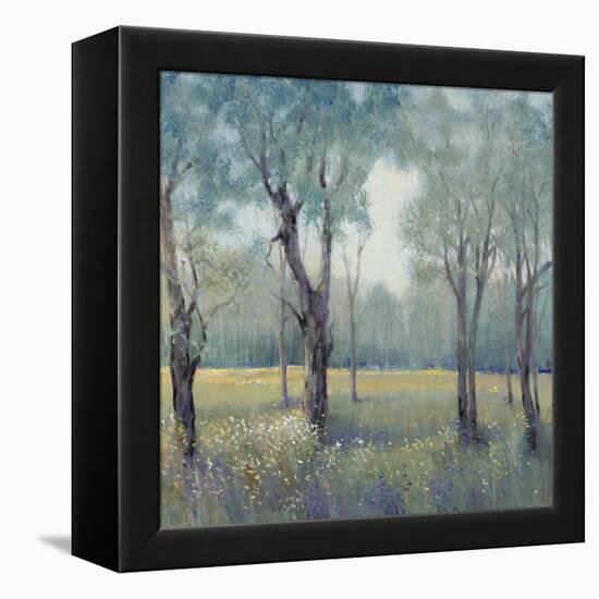 Morning Mist-Tim OToole-Framed Stretched Canvas