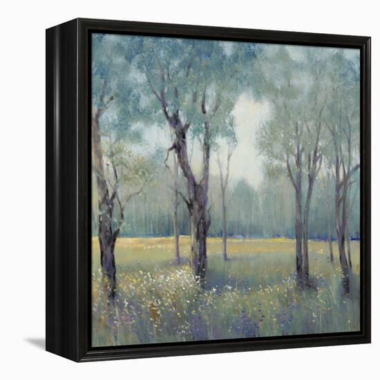 Morning Mist-Tim OToole-Framed Stretched Canvas