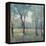 Morning Mist-Tim OToole-Framed Stretched Canvas