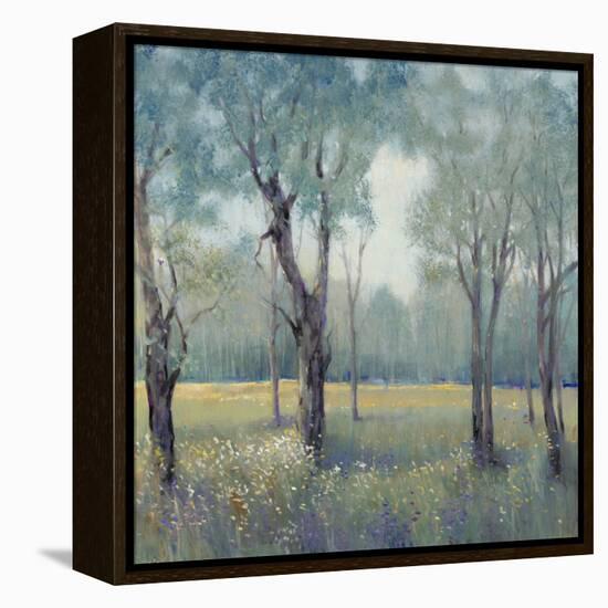 Morning Mist-Tim OToole-Framed Stretched Canvas