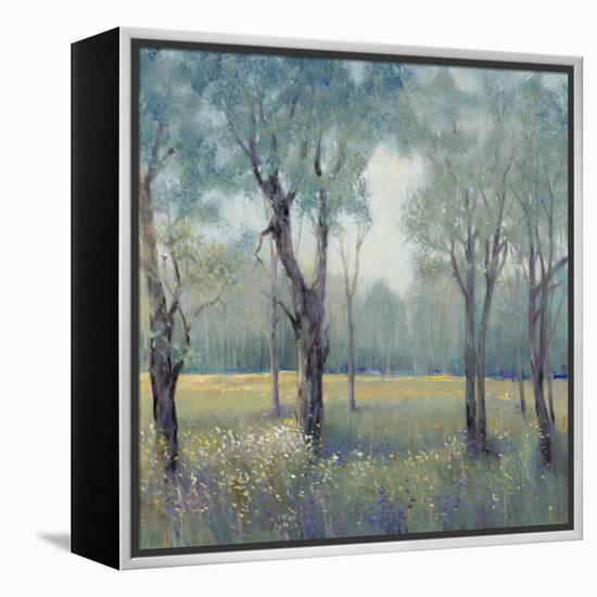 Morning Mist-Tim OToole-Framed Stretched Canvas