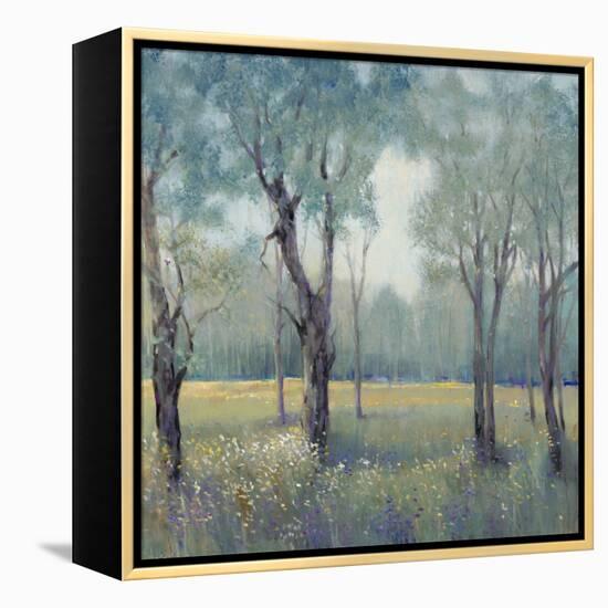 Morning Mist-Tim OToole-Framed Stretched Canvas