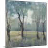 Morning Mist-Tim OToole-Mounted Premium Giclee Print