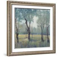 Morning Mist-Tim OToole-Framed Art Print