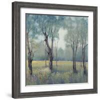 Morning Mist-Tim OToole-Framed Art Print