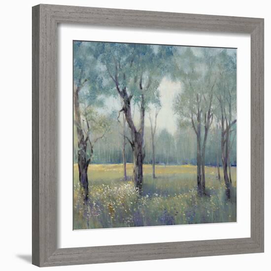 Morning Mist-Tim OToole-Framed Art Print