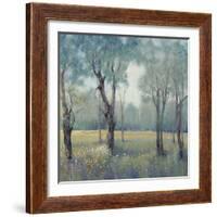 Morning Mist-Tim OToole-Framed Art Print