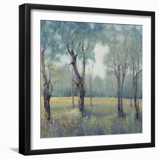 Morning Mist-Tim OToole-Framed Art Print