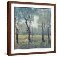 Morning Mist-Tim OToole-Framed Art Print