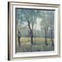 Morning Mist-Tim OToole-Framed Art Print