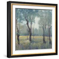 Morning Mist-Tim OToole-Framed Art Print