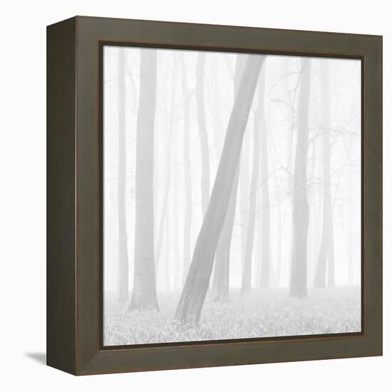 Morning Mists I-Doug Chinnery-Framed Premier Image Canvas