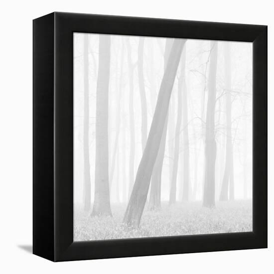 Morning Mists I-Doug Chinnery-Framed Premier Image Canvas