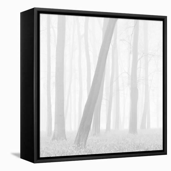 Morning Mists I-Doug Chinnery-Framed Premier Image Canvas