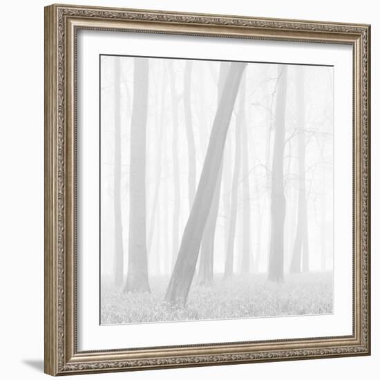 Morning Mists I-Doug Chinnery-Framed Photographic Print