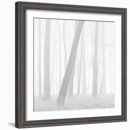 Morning Mists I-Doug Chinnery-Framed Photographic Print