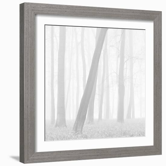 Morning Mists I-Doug Chinnery-Framed Photographic Print