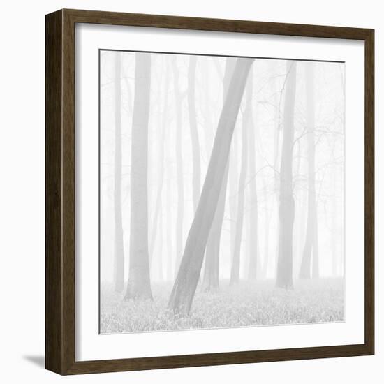 Morning Mists I-Doug Chinnery-Framed Photographic Print