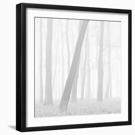 Morning Mists I-Doug Chinnery-Framed Photographic Print