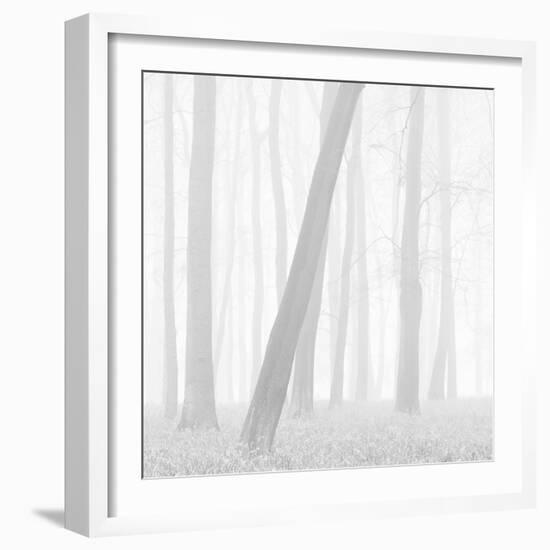 Morning Mists I-Doug Chinnery-Framed Photographic Print