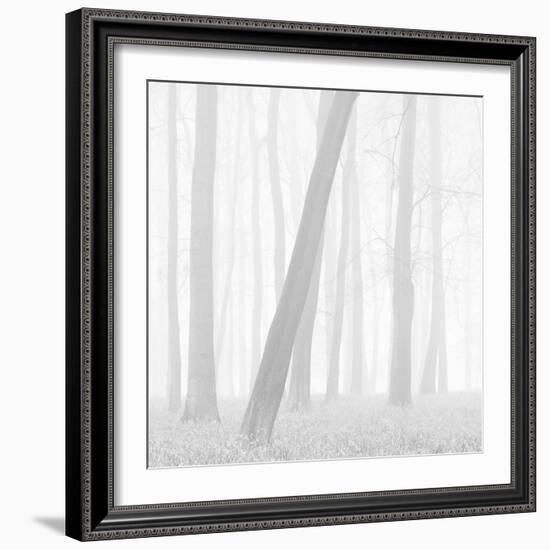 Morning Mists I-Doug Chinnery-Framed Photographic Print