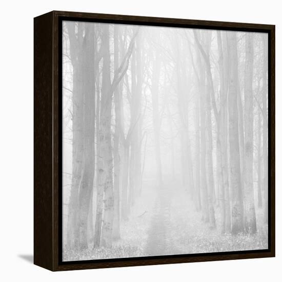 Morning Mists IIi-Doug Chinnery-Framed Premier Image Canvas