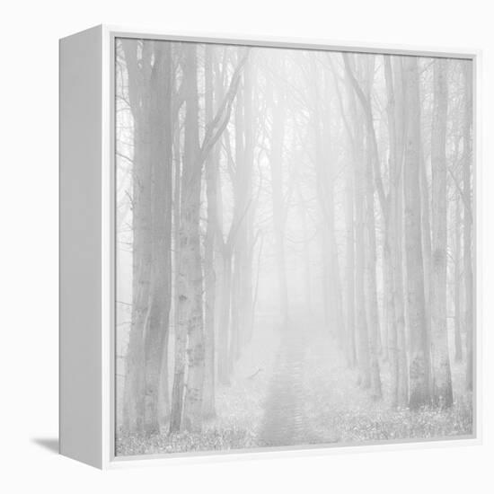 Morning Mists IIi-Doug Chinnery-Framed Premier Image Canvas