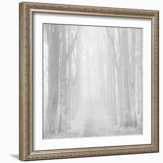 Morning Mists IIi-Doug Chinnery-Framed Photographic Print