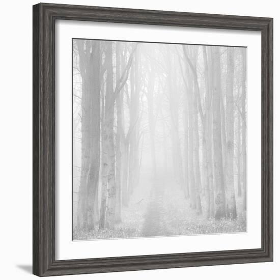 Morning Mists IIi-Doug Chinnery-Framed Photographic Print