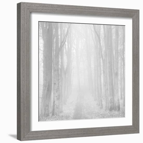 Morning Mists IIi-Doug Chinnery-Framed Photographic Print