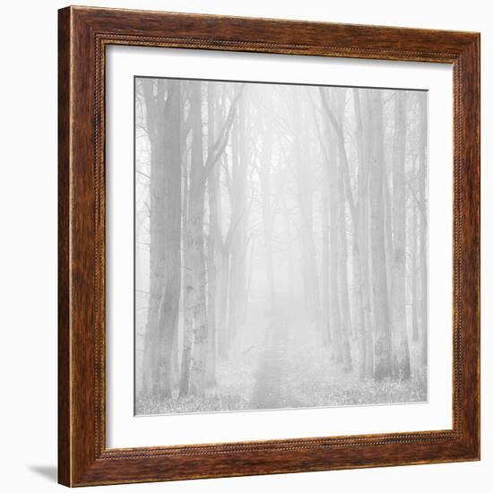 Morning Mists IIi-Doug Chinnery-Framed Photographic Print