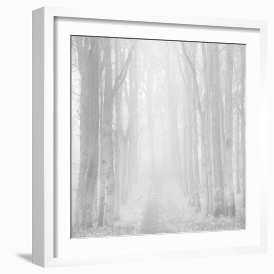 Morning Mists IIi-Doug Chinnery-Framed Photographic Print