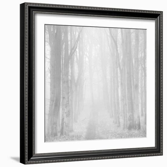 Morning Mists IIi-Doug Chinnery-Framed Photographic Print