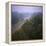 Morning Mists in Rio Negro Region of Amazon Rainforest, Amazonas State, Brazil, South America-Geoff Renner-Framed Premier Image Canvas