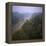Morning Mists in Rio Negro Region of Amazon Rainforest, Amazonas State, Brazil, South America-Geoff Renner-Framed Premier Image Canvas