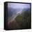 Morning Mists in Rio Negro Region of Amazon Rainforest, Amazonas State, Brazil, South America-Geoff Renner-Framed Premier Image Canvas