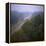 Morning Mists in Rio Negro Region of Amazon Rainforest, Amazonas State, Brazil, South America-Geoff Renner-Framed Premier Image Canvas